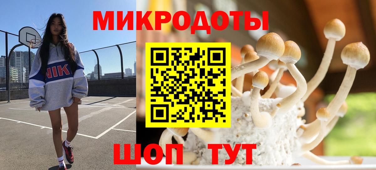 Углич  Псилоцибиновые грибы Cubensis  даркнет сайт  Вход с VPN  Галлюциногенные грибы прущие грибы 